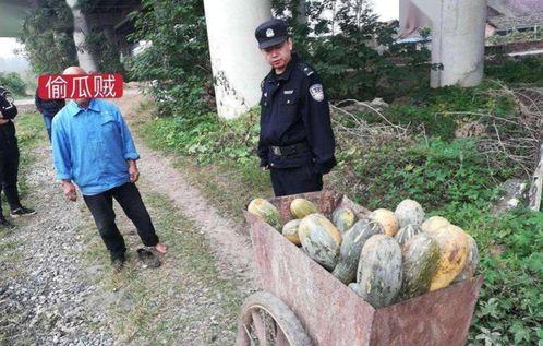 甘谷网红吃瓜事件视频曝光,视频曝光引发网友热议