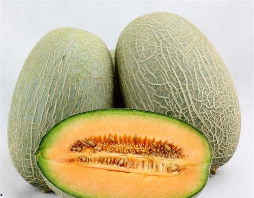 小夫请吃哈密瓜的故事视频,一场甜蜜的分享之旅