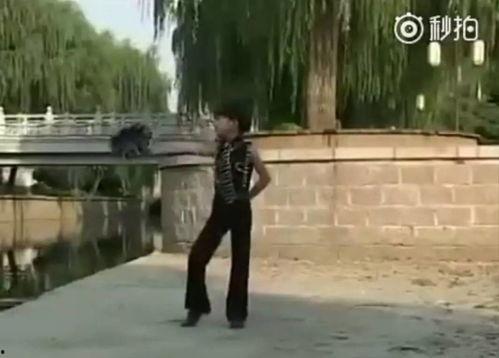 拉丁舞吃瓜视频在线观看,在线观看精彩瞬间