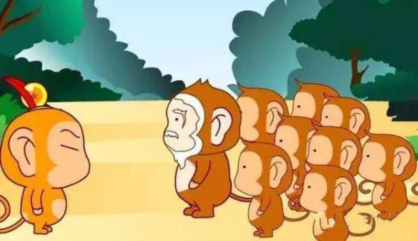 猴王吃瓜的故事视频,一场奇幻的吃瓜盛宴