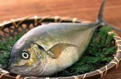 吃鱼吃瓜吃饭视频大全,吃鱼吃瓜吃饭视频大全精选